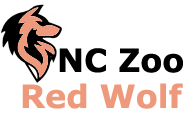 Nc Zoo Redwolf