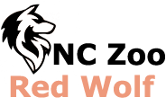 Nc Zoo Redwolf